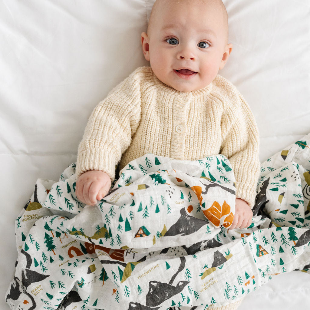 National Parks Swaddle (Mini Pattern)
