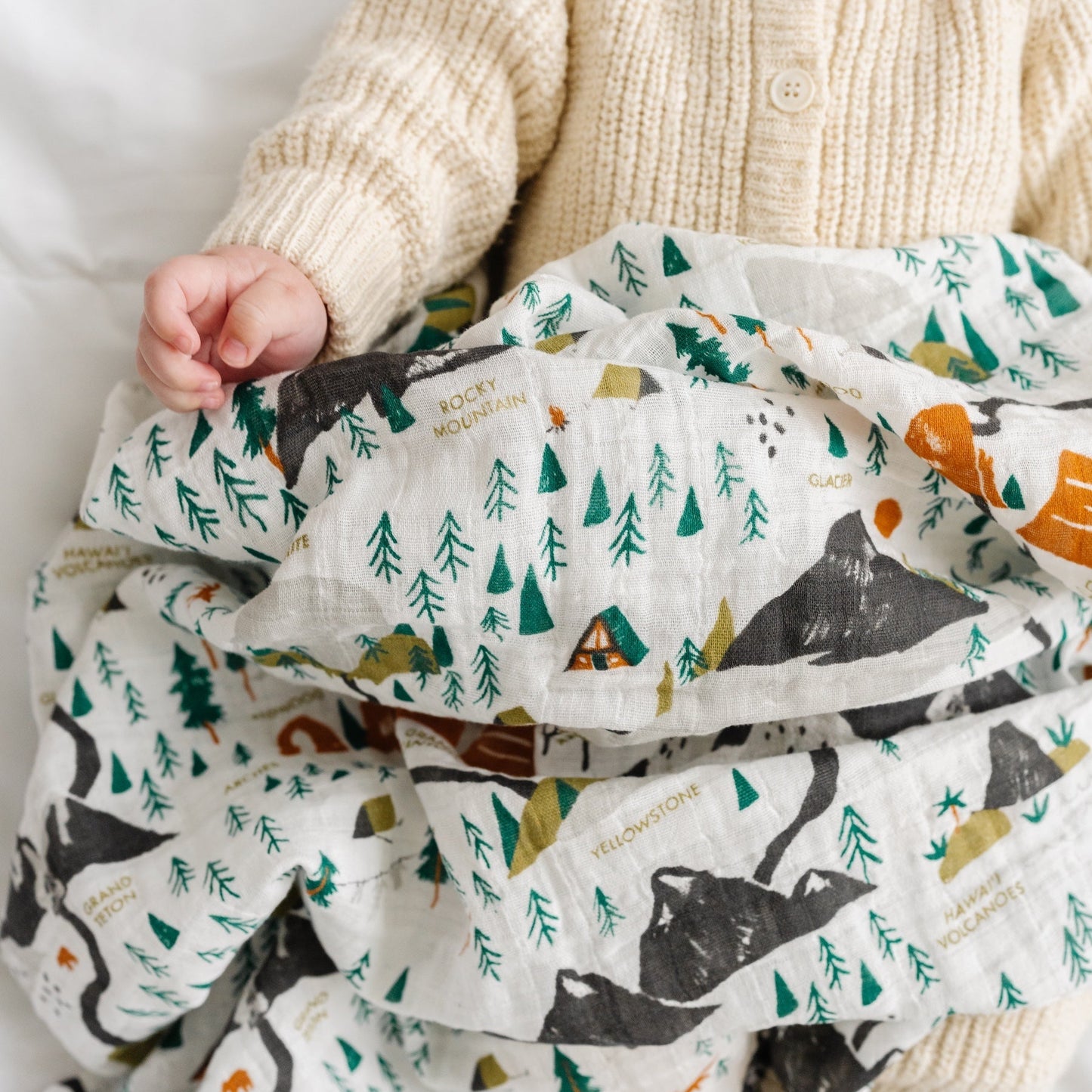 National Parks Swaddle (Mini Pattern)