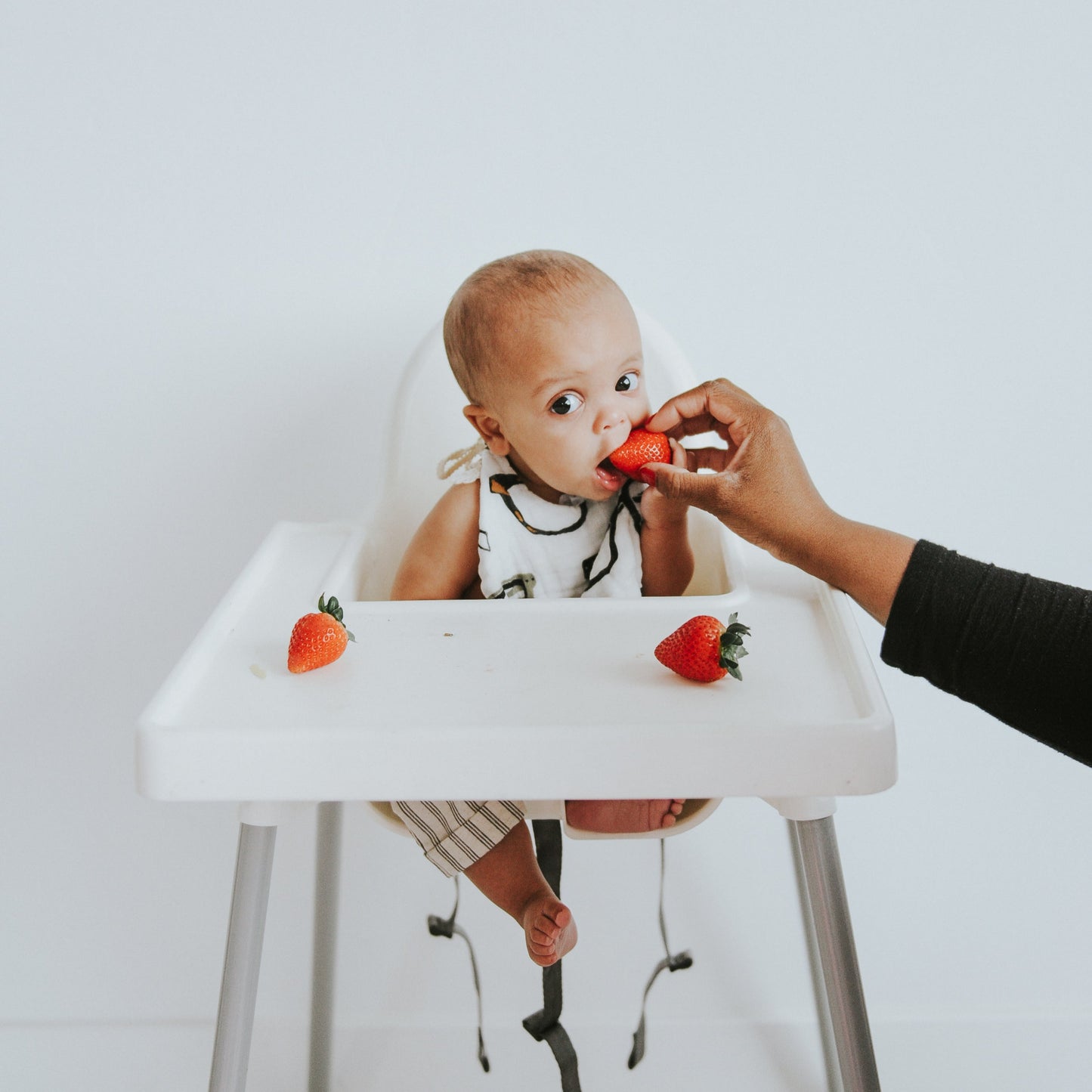 Zoology and Specs Bib Pack