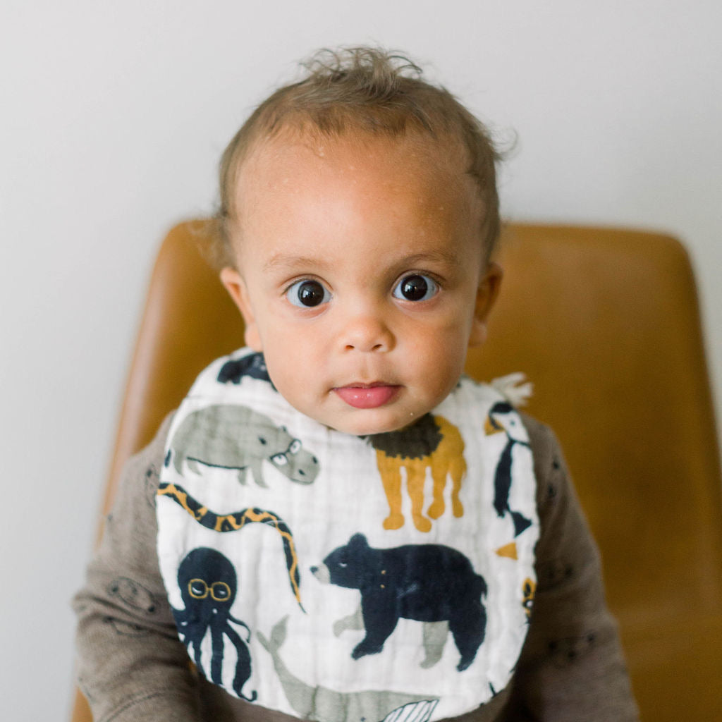 Zoology and Specs Bib Pack