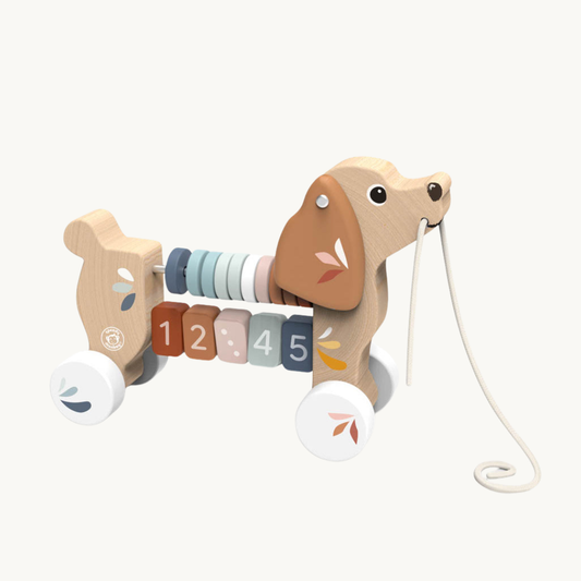 Puppy Pull along