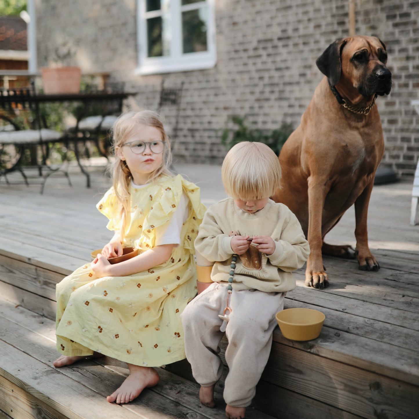 Round Dinnerware Bowl