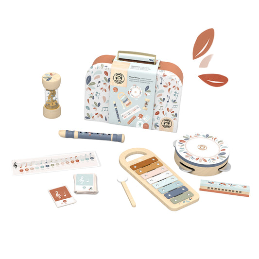 Musical set 5 instruments