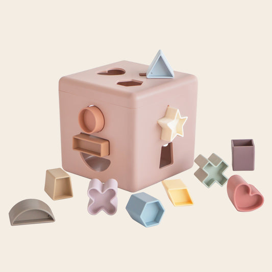 Shape Sorting Box