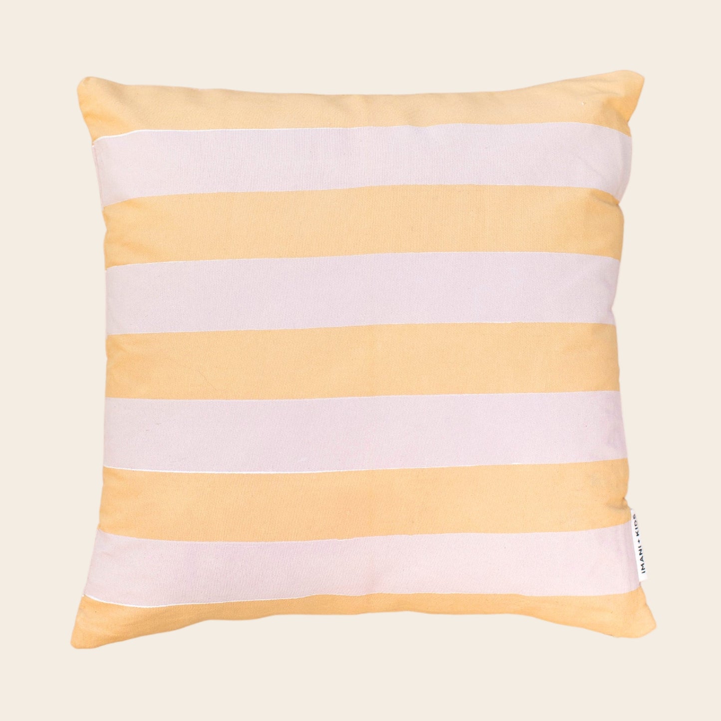 Striped Pillow Cover