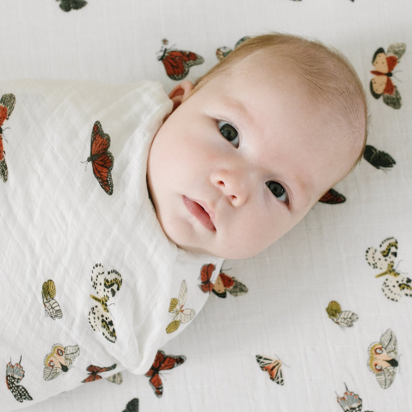 Butterfly Migration Crib Sheet