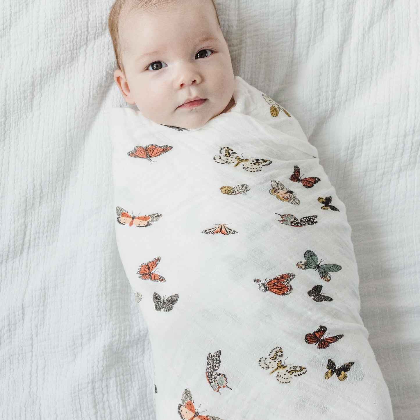 Butterfly Migration Swaddle