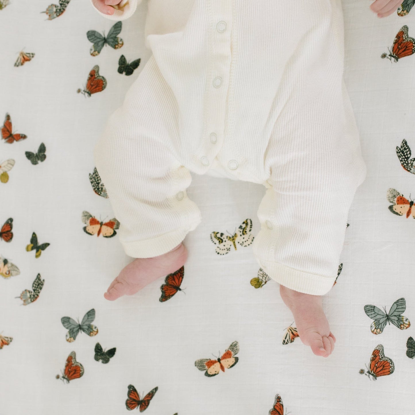Butterfly Migration Crib Sheet