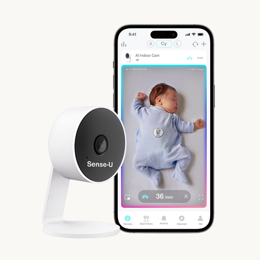AI Indoor Cam